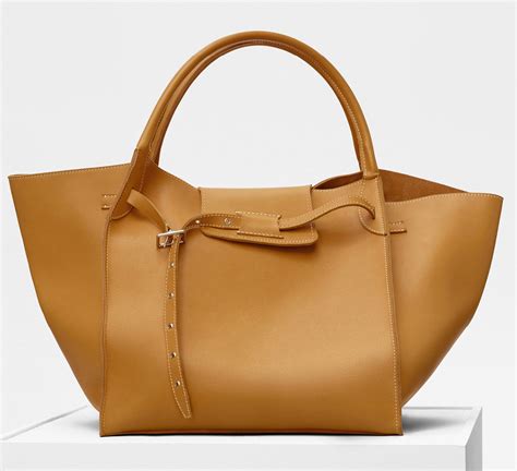 celine bag nice france|best celine bags.